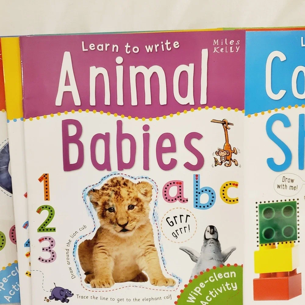 Set Of 10 Miles Kelly Wipe-Clean Activity Learn To Write Letters, Number, Colors